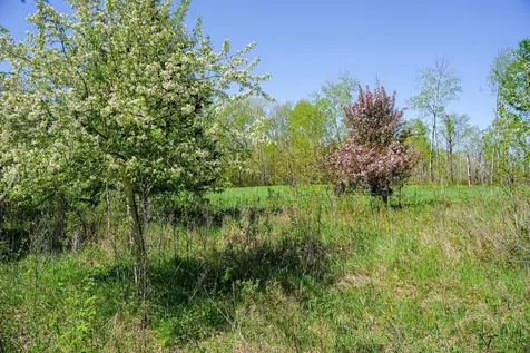 Tbd 140th Street Frazee MN 56544
