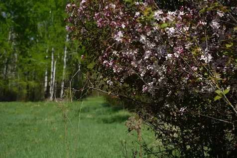 Tbd 140th Street Frazee MN 56544
