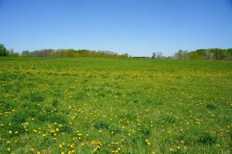Tbd 140th Street Frazee MN 56544