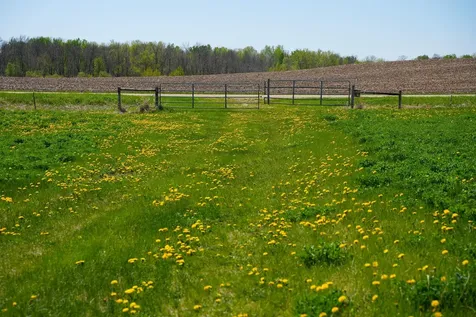 Tbd 140th Street Frazee MN 56544