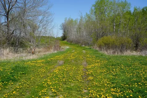 Tbd 140th Street Frazee MN 56544