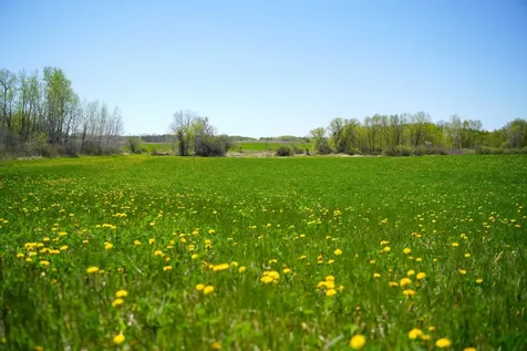 Tbd 140th Street Frazee MN 56544
