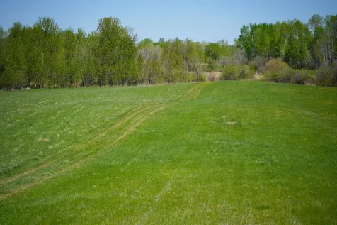 Tbd 140th Street Frazee MN 56544