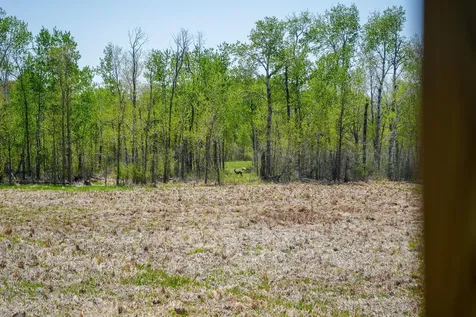 Tbd 140th Street Frazee MN 56544