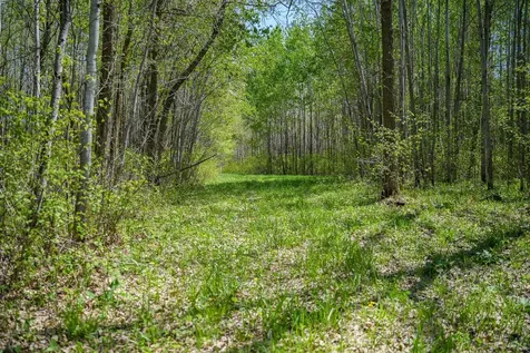 Tbd 140th Street Frazee MN 56544