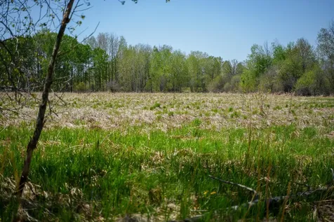 Tbd 140th Street Frazee MN 56544