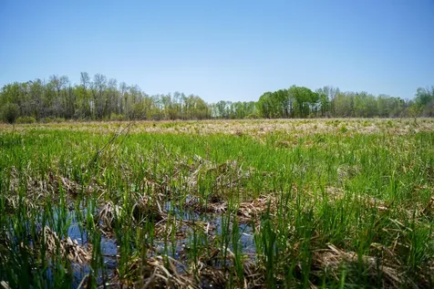 Tbd 140th Street Frazee MN 56544