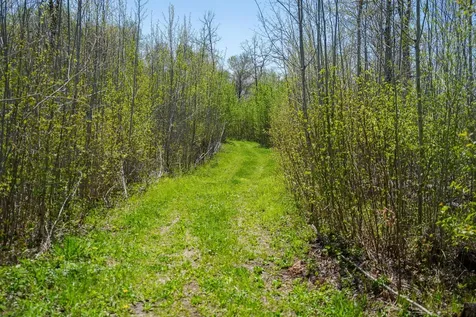 Tbd 140th Street Frazee MN 56544