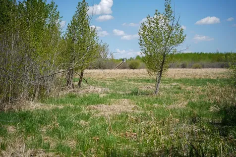 Tbd 140th Street Frazee MN 56544