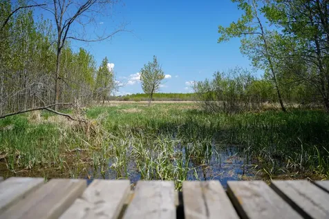 Tbd 140th Street Frazee MN 56544