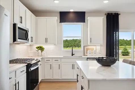 15160 Amber Fields Boulevard Rosemount MN 55068
