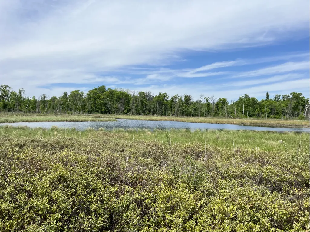 13384 Sorenson Lake Road Merrifield MN 56465