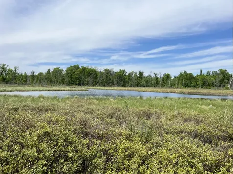 13384 Sorenson Lake Road Merrifield MN 56465