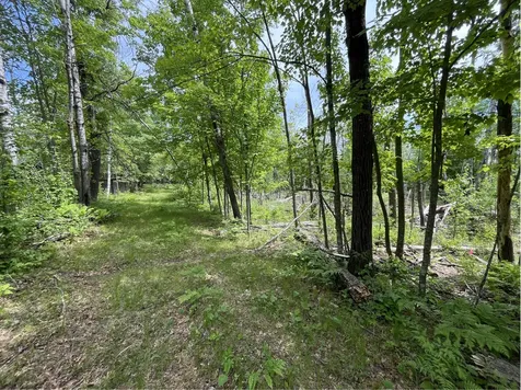 13384 Sorenson Lake Road Merrifield MN 56465