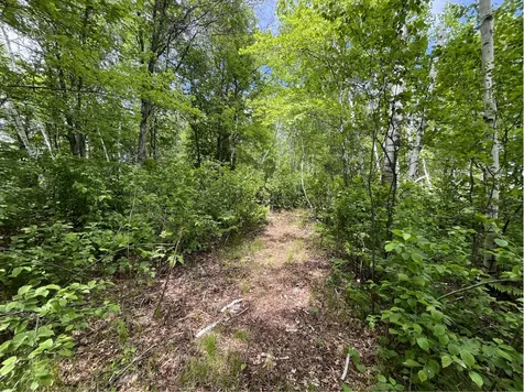 13384 Sorenson Lake Road Merrifield MN 56465