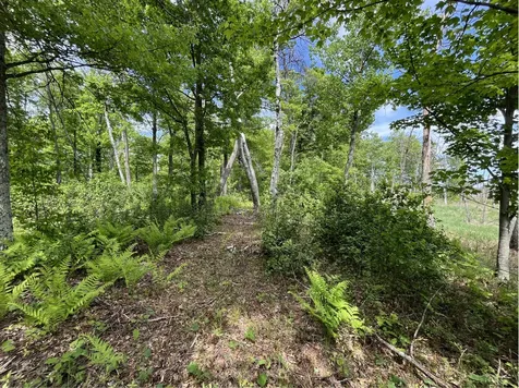 13384 Sorenson Lake Road Merrifield MN 56465