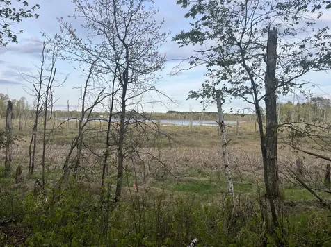 13384 Sorenson Lake Road Merrifield MN 56465