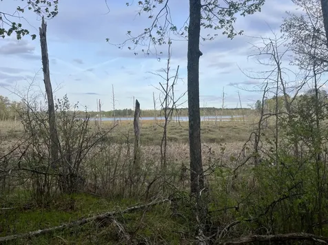 13384 Sorenson Lake Road Merrifield MN 56465