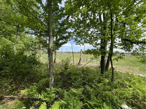 13384 Sorenson Lake Road Merrifield MN 56465