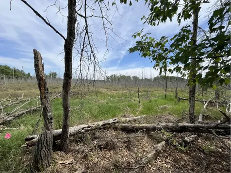 13384 Sorenson Lake Road Merrifield MN 56465