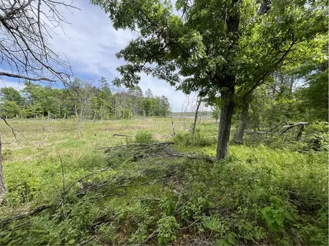 13384 Sorenson Lake Road Merrifield MN 56465