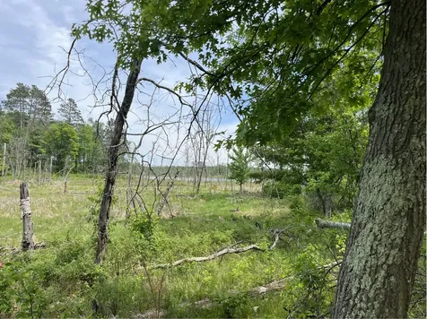 13384 Sorenson Lake Road Merrifield MN 56465