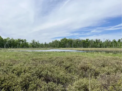 13384 Sorenson Lake Road Merrifield MN 56465