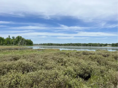 13384 Sorenson Lake Road Merrifield MN 56465
