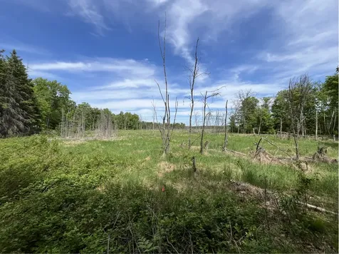 13384 Sorenson Lake Road Merrifield MN 56465