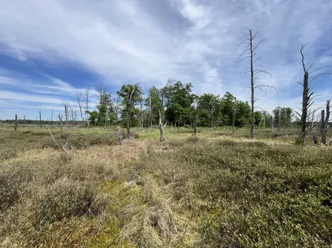 13384 Sorenson Lake Road Merrifield MN 56465