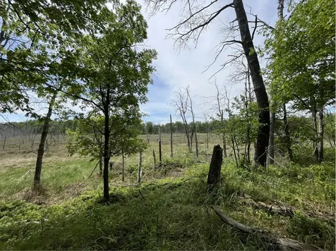 13384 Sorenson Lake Road Merrifield MN 56465