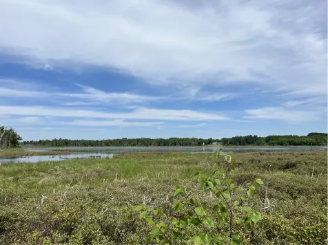 13384 Sorenson Lake Road Merrifield MN 56465