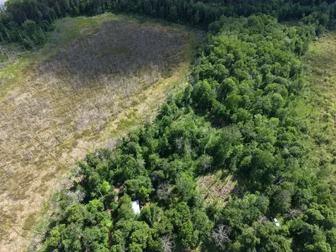 13384 Sorenson Lake Road Merrifield MN 56465
