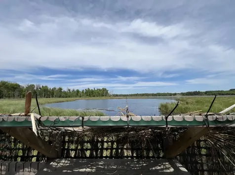 13384 Sorenson Lake Road Merrifield MN 56465