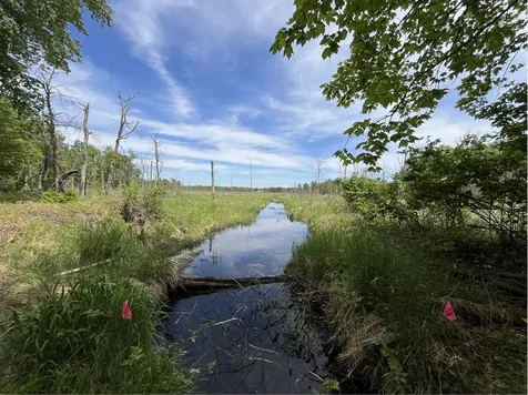 13384 Sorenson Lake Road Merrifield MN 56465