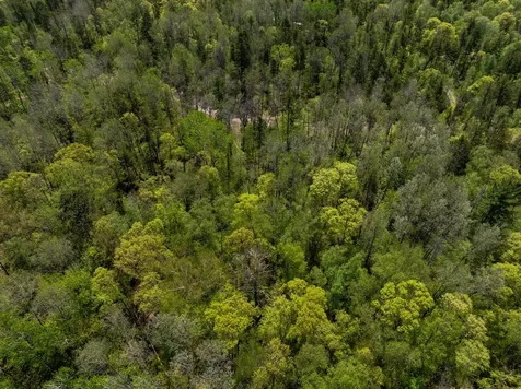 Tbd Hidden Creek Court Pequot Lakes MN 56472