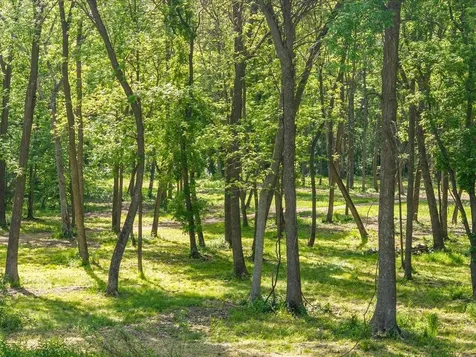 17887 Riverwood Drive Little Falls MN 56345