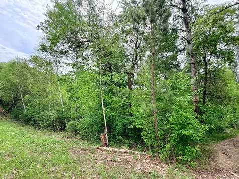 Tbd Half Moon Road Park Rapids MN 56470