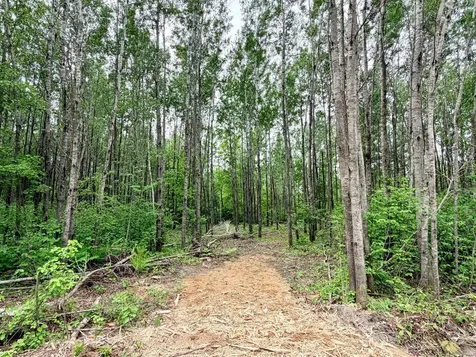 Tbd Half Moon Road Park Rapids MN 56470