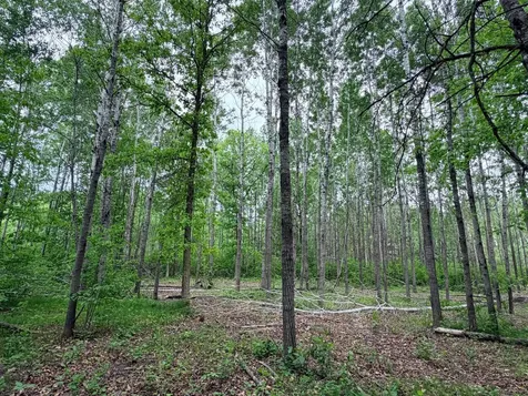 Tbd Half Moon Road Park Rapids MN 56470
