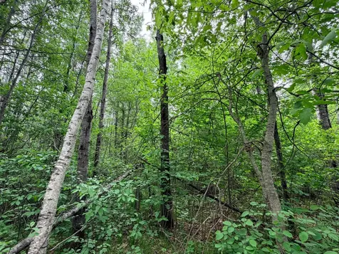 Tbd Half Moon Road Park Rapids MN 56470