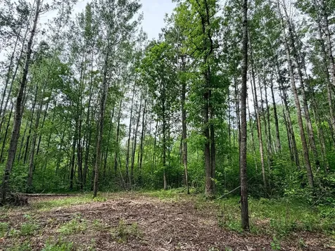 Tbd Half Moon Road Park Rapids MN 56470