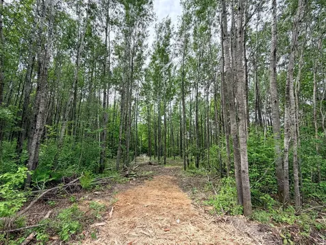 Tbd Half Moon Road Park Rapids MN 56470