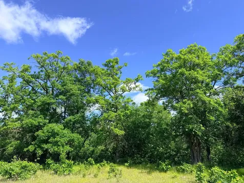 Tbd - 24.4 Ac County 4 Park Rapids MN 56470