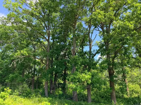 Tbd - 24.4 Ac County 4 Park Rapids MN 56470