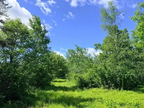 Tbd - 24.4 Ac County 4 Park Rapids MN 56470