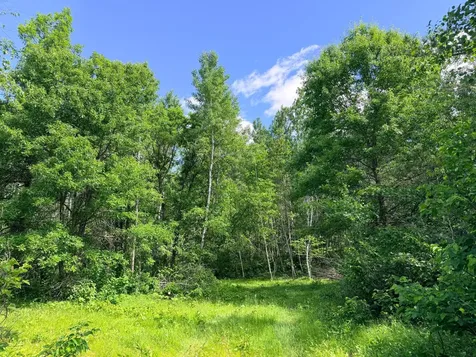 Tbd - 24.4 Ac County 4 Park Rapids MN 56470