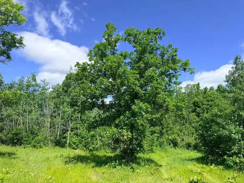 Tbd - 24.4 Ac County 4 Park Rapids MN 56470