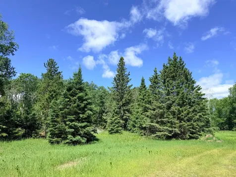 Tbd - 24.4 Ac County 4 Park Rapids MN 56470