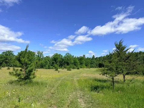 Tbd - 24.4 Ac County 4 Park Rapids MN 56470